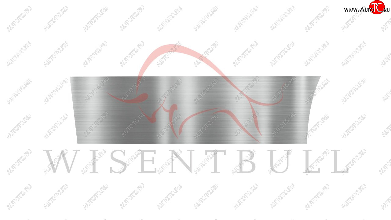 1 989 р. Ремкомплект левой двери Wisentbull  Toyota Opa (2000-2005)  с доставкой в г. Чебоксары