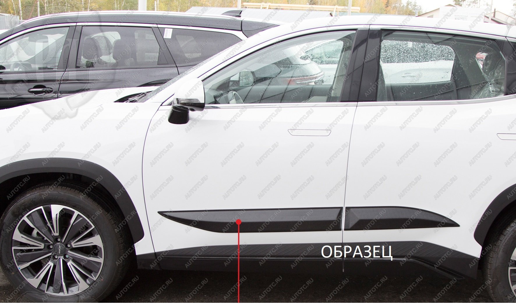 779 р. Молдинг двери задний левый Русская Артель  Haval F7x (2019-2022) дорестайлинг (глянец под покраску)  с доставкой в г. Чебоксары