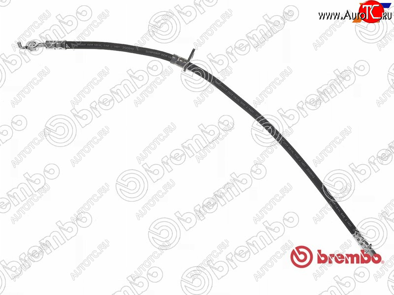 2 669 р. Шланг тормозной передний LH=RH BREMBO Lexus ES300 XV30 дорестайлинг (2001-2003)  с доставкой в г. Чебоксары