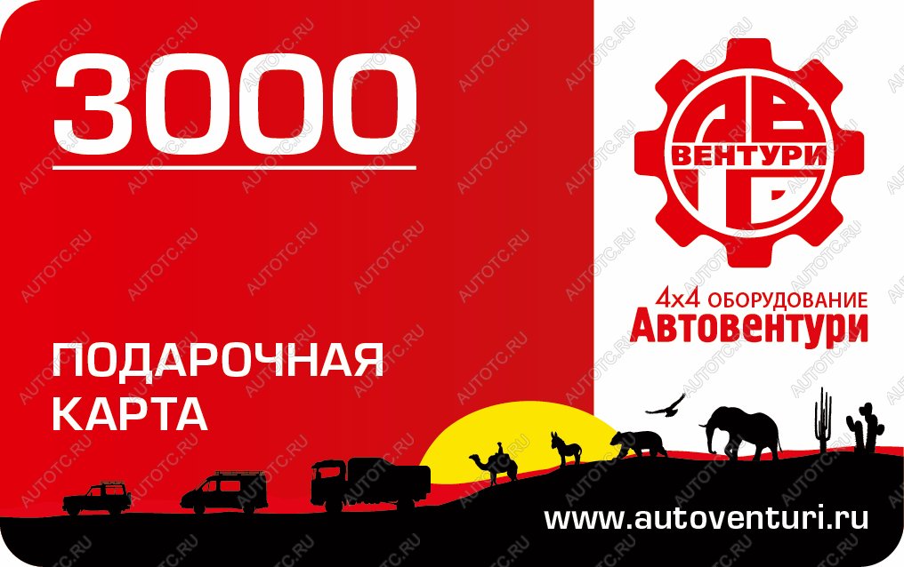 2 999 р. Карта подарочная 3000  gc3000  с доставкой в г. Чебоксары