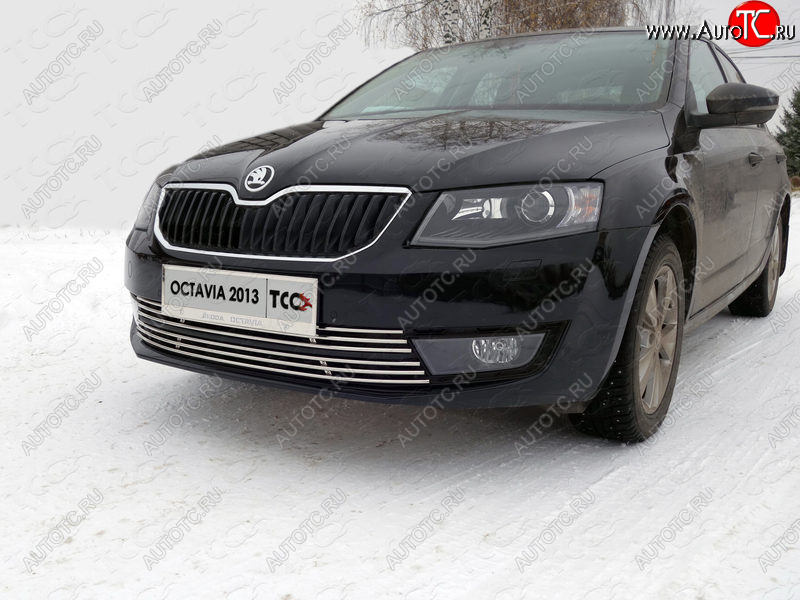 1 000 000 р. Декоративная вставка переднего бампера ТСС Тюнинг Skoda Octavia A7 дорестайлинг лифтбэк (2012-2017) (d 12 мм)  с доставкой в г. Чебоксары