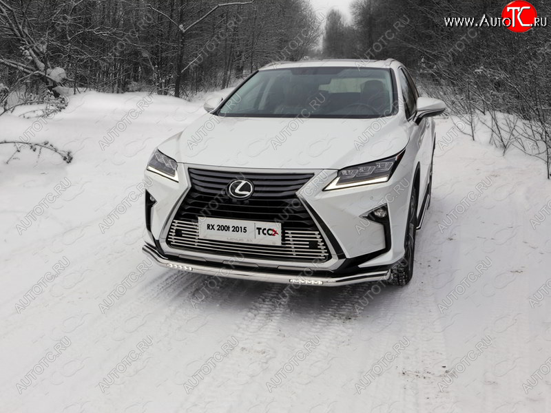 5 999 р. Рамка гос. номера ТСС Тюнинг Lexus RX300 XU10 дорестайлинг (1995-2001) (нержавейка)  с доставкой в г. Чебоксары
