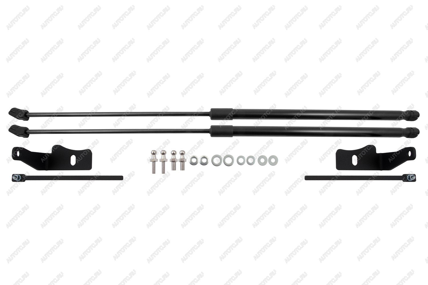 4 899 р. Амортизаторы капота для DongFeng Glorу 600, 2024-, к-т 2 шт  ДонгФенг Глори 600 EASYLIFT easylift 076.102  с доставкой в г. Чебоксары