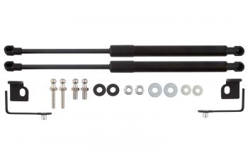 Амортизаторы капота для EVOLUTE i-Space, 2024-, к-т 2 шт  Эволют EASYLIFT easylift 062.102
