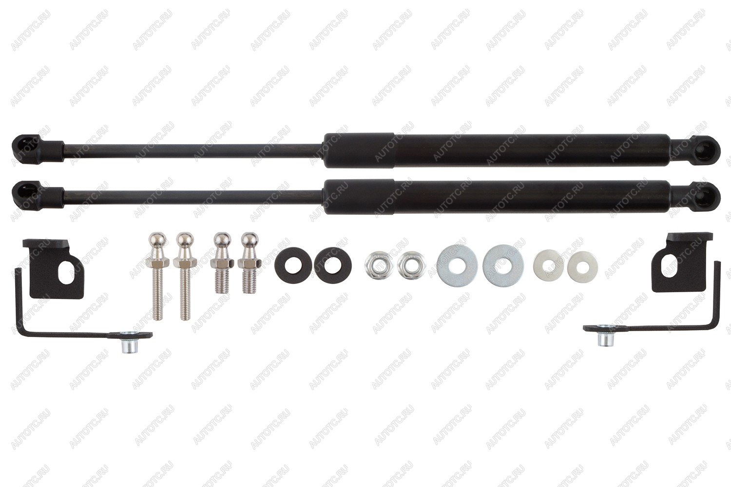 4 549 р. Амортизаторы капота для EVOLUTE i-Space, 2024-, к-т 2 шт  Эволют EASYLIFT easylift 062.102  с доставкой в г. Чебоксары