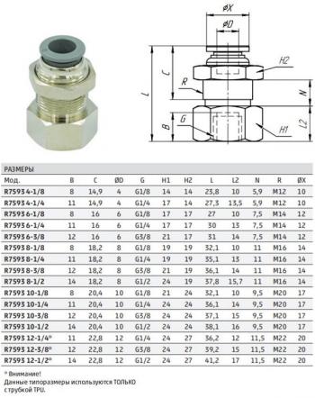 239 р. Фитинг панельного монтажа с внутр. резьбой R7593 8-14  r7593 8-14  с доставкой в г. Чебоксары. Увеличить фотографию 2