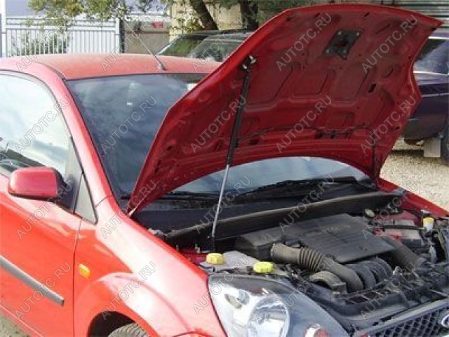 3 499 р. Упор капота ТехноМастер Ford Fiesta 5 хэтчбэк 5 дв. дорестайлинг (2001-2005)  с доставкой в г. Чебоксары