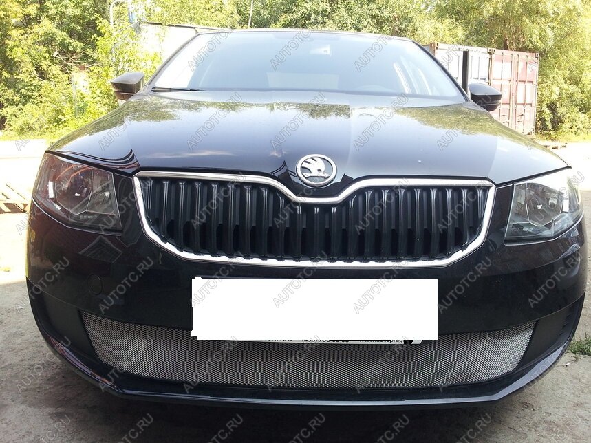 2 999 р. Защита радиатора (Active) Стрелка11 Стандарт Skoda Octavia A7 дорестайлинг лифтбэк (2012-2017) (черная)  с доставкой в г. Чебоксары