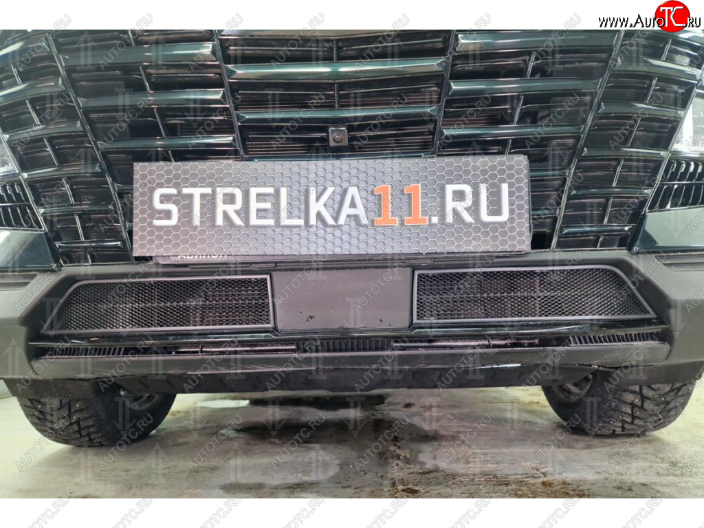 2 399 р. Защитная сетка в бампер (низ, 2 части, ячейка 3х7 мм) Alfeco Стандарт Jetour Dashing (2022-2025) (Чёрная)  с доставкой в г. Чебоксары