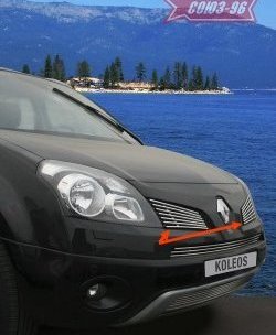 Декоративные элементы решетки радиатора Souz-96 (d10) Renault Koleos (2007-2011) Phase 1