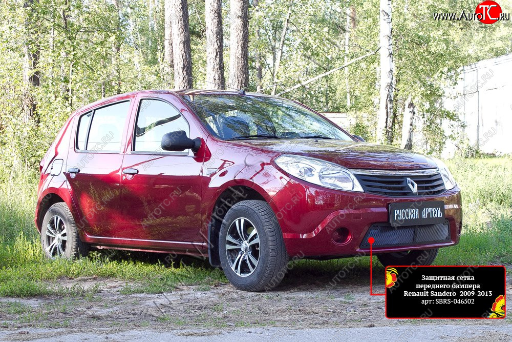 2 439 р. Защитная сетка решетки переднего бампера Русская Артель  Renault Sandero  (BS) (2009-2014) (Поверхность текстурная)  с доставкой в г. Чебоксары