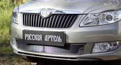 Защитная сетка решетки переднего бампера РА Skoda Fabia  Mk2 (2010-2014) универсал рестайлинг, хэтчбэк рестайлинг