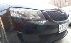 1 299 р. Сетка (для комплектации Active) на бампер Russtal (черная) Skoda Octavia A7 дорестайлинг лифтбэк (2012-2017)  с доставкой в г. Чебоксары. Увеличить фотографию 3