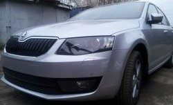 2 569 р. Сетка (для комплектации Ambition, Elegance) на бампер Russtal (черная) Skoda Octavia A7 дорестайлинг лифтбэк (2012-2017)  с доставкой в г. Чебоксары. Увеличить фотографию 2