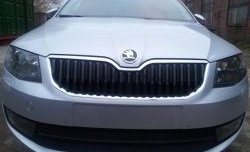 2 569 р. Сетка (для комплектации Ambition, Elegance) на бампер Russtal (черная) Skoda Octavia A7 дорестайлинг лифтбэк (2012-2017)  с доставкой в г. Чебоксары. Увеличить фотографию 4