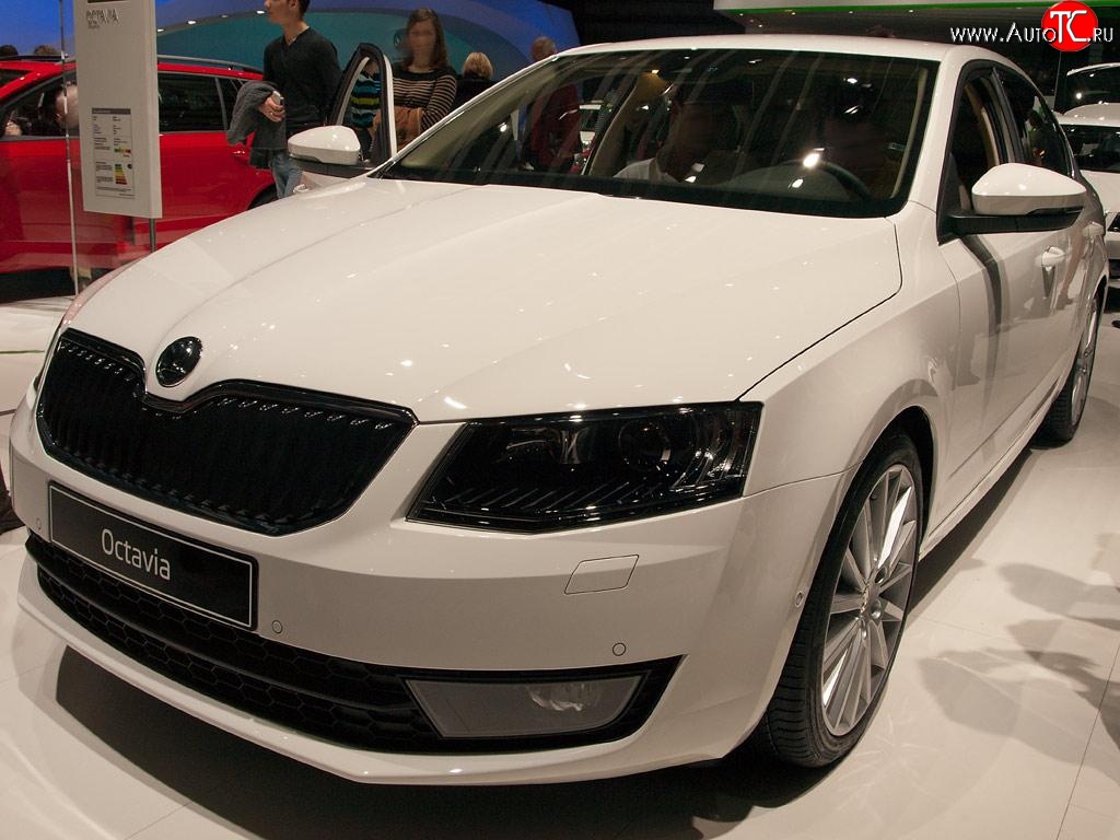 2 569 р. Сетка (для комплектации Ambition, Elegance) на бампер Russtal (черная) Skoda Octavia A7 дорестайлинг лифтбэк (2012-2017)  с доставкой в г. Чебоксары
