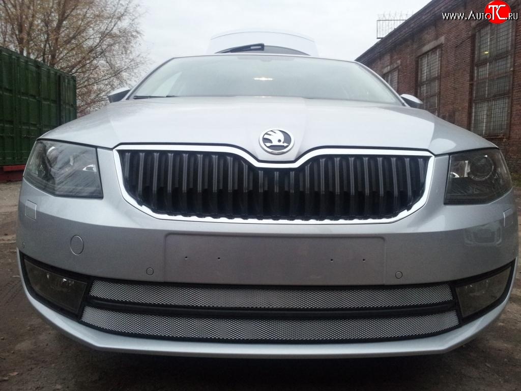 2 699 р. Сетка (для комплектации Ambition, Elegance) на бампер Russtal (хром) Skoda Octavia A7 дорестайлинг лифтбэк (2012-2017)  с доставкой в г. Чебоксары