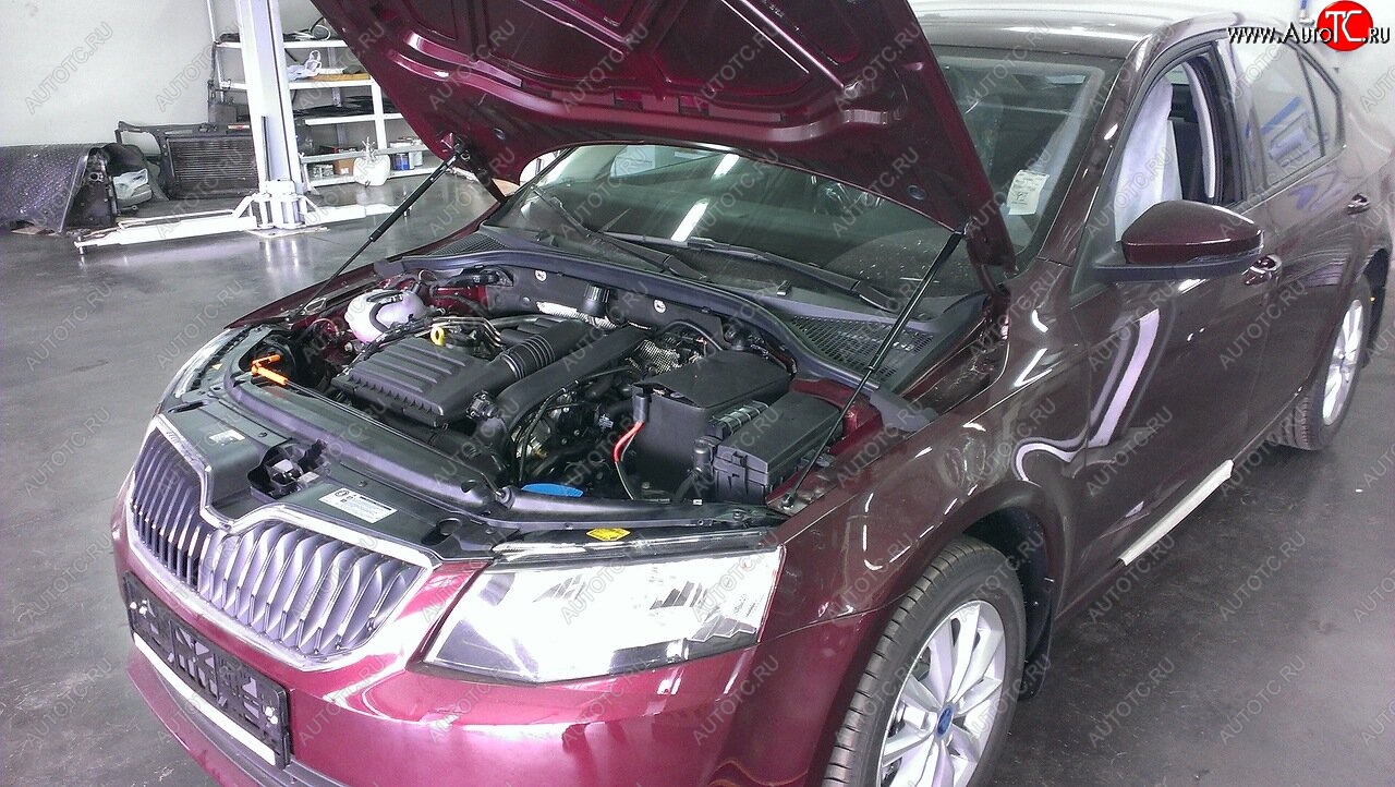 2 049 р. Упоры капота Russtal Skoda Octavia A7 дорестайлинг лифтбэк (2012-2017)  с доставкой в г. Чебоксары