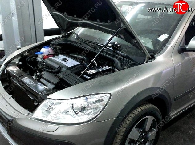 1 849 р. Газовый упор капота CT  Skoda Octavia  A5 (2004-2008) дорестайлинг лифтбэк, дорестайлинг универсал  с доставкой в г. Чебоксары