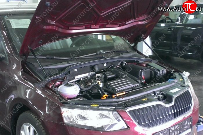 1 649 р. Газовые упоры капота Berkut Skoda Octavia A7 дорестайлинг лифтбэк (2012-2017)  с доставкой в г. Чебоксары