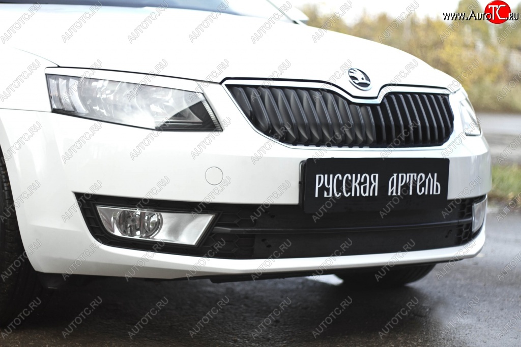 1 219 р. Зимняя заглушка решетки переднего бампера РА Skoda Octavia A7 дорестайлинг лифтбэк (2012-2017)  с доставкой в г. Чебоксары