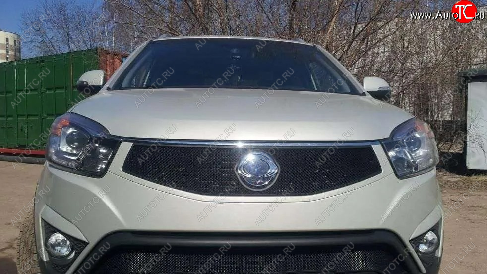 1 469 р. Защитная сетка в решетку радиатора Russtal SSANGYONG Actyon рестайлинг (2013-2021)  с доставкой в г. Чебоксары