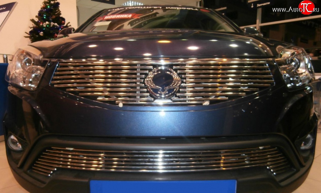 5 799 р. Декоративная вставка решетки радиатора Berkut SSANGYONG Actyon рестайлинг (2013-2021)  с доставкой в г. Чебоксары