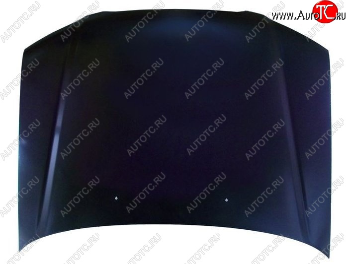 8 899 р. Капот SAT (Тайвань)  Subaru Forester  SG (2002-2005) дорестайлинг (Неокрашенный)  с доставкой в г. Чебоксары