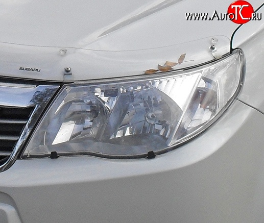 1 484 р. Прозрачная защита передних фар Novline  Subaru Forester  SH (2008-2013)  с доставкой в г. Чебоксары