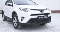 2 229 р. Защитная сетка решетки переднего бампера РА  Toyota RAV4  XA40 (2015-2019) 5 дв. рестайлинг  с доставкой в г. Чебоксары. Увеличить фотографию 2