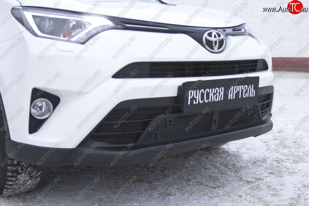 2 229 р. Защитная сетка решетки переднего бампера РА  Toyota RAV4  XA40 (2015-2019) 5 дв. рестайлинг  с доставкой в г. Чебоксары