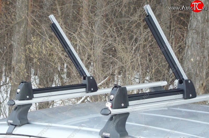 2 349 р. Крепление для 3 комплектов лыж или 2 сноубордов Amos Ski Lock 3 Audi A6 С4 седан (1994-1997) (Цвет: серебристый)  с доставкой в г. Чебоксары