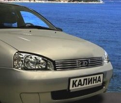 Декоративная вставка решетки радиатора Souz-96 Лада Калина ( 1118,  1117,  1119) - Калина Спорт  1119