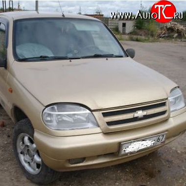 22 449 р. Капот Стандартный Chevrolet Niva 2123 рестайлинг (2009-2020) (Окрашенная)  с доставкой в г. Чебоксары
