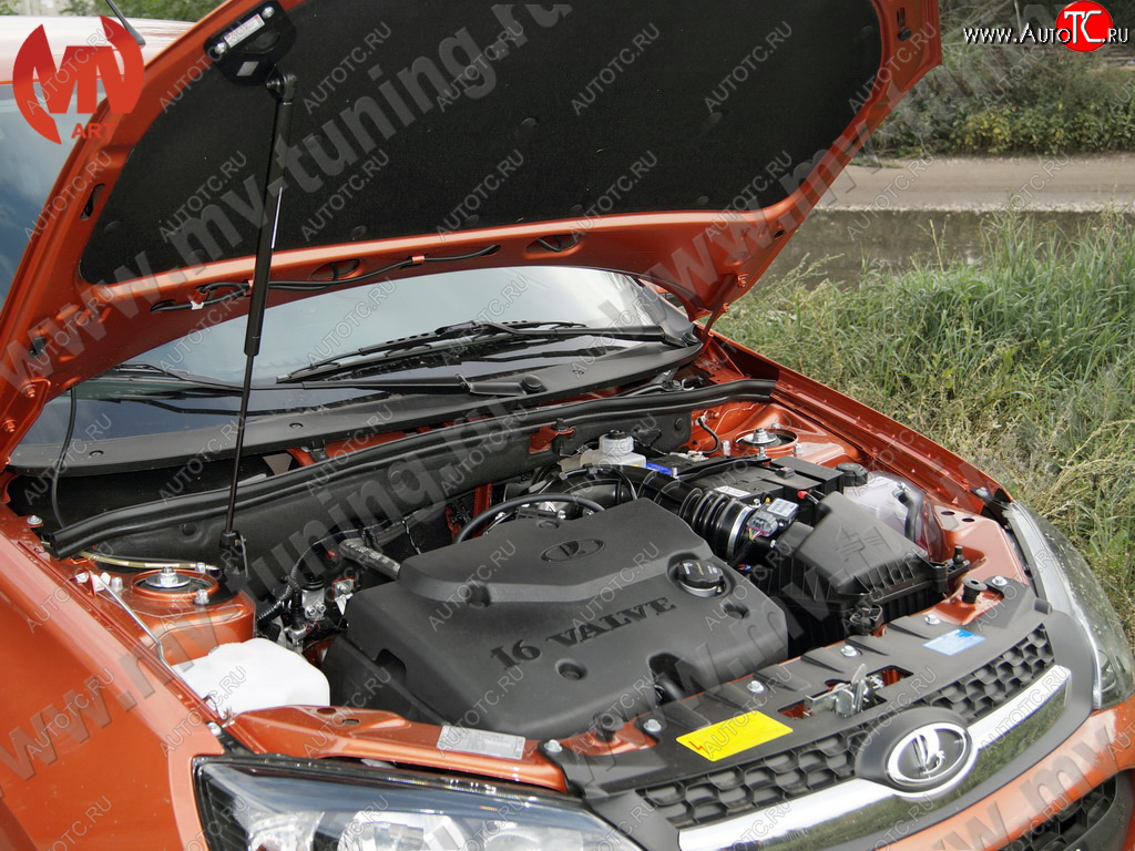 1 799 р. Упор капота MV-Tuning (одинарный; без кронштейна) ВИС 2349 бортовой грузовик дорестайлинг (2012-2018)  с доставкой в г. Чебоксары