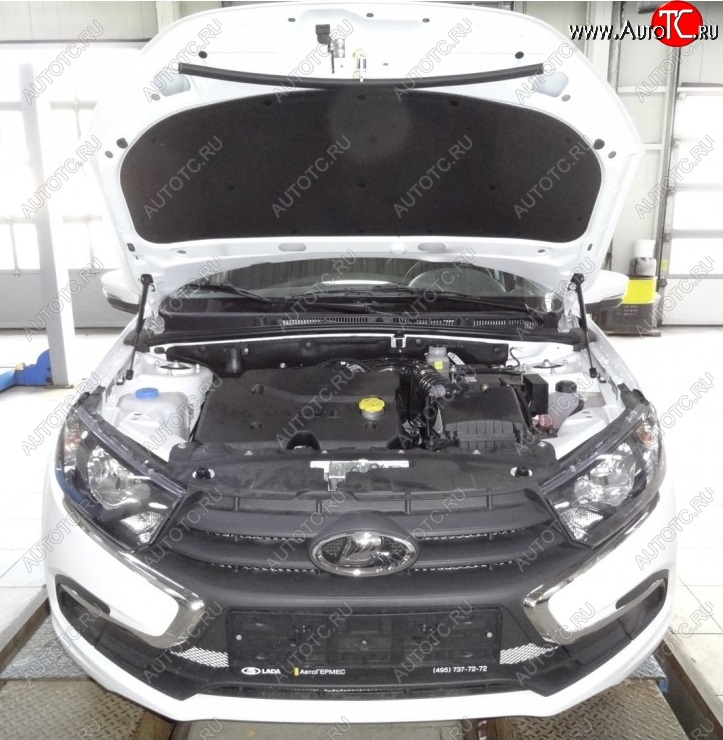 2 299 р. Упоры капота Russtal ВИС 2349 бортовой грузовик рестайлинг (2018-2025)  с доставкой в г. Чебоксары