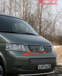 Декоративные элементы решетки радиатора Souz-96 (d10) Volkswagen Transporter  T5 (2003-2009) дорестайлинг