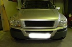 3 449 р. Реснички на фары INDIVIDUAL Volvo XC90 C дорестайлинг (2002-2006) (Неокрашенные)  с доставкой в г. Чебоксары. Увеличить фотографию 3